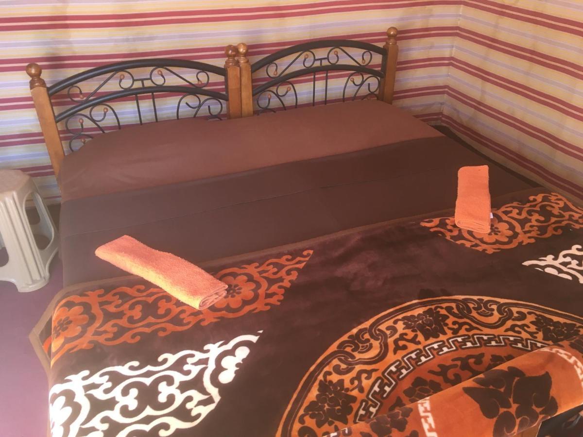 Wild Of Wadi Rum Exterior photo