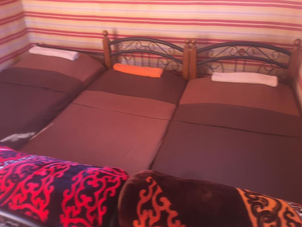Wild Of Wadi Rum Exterior photo