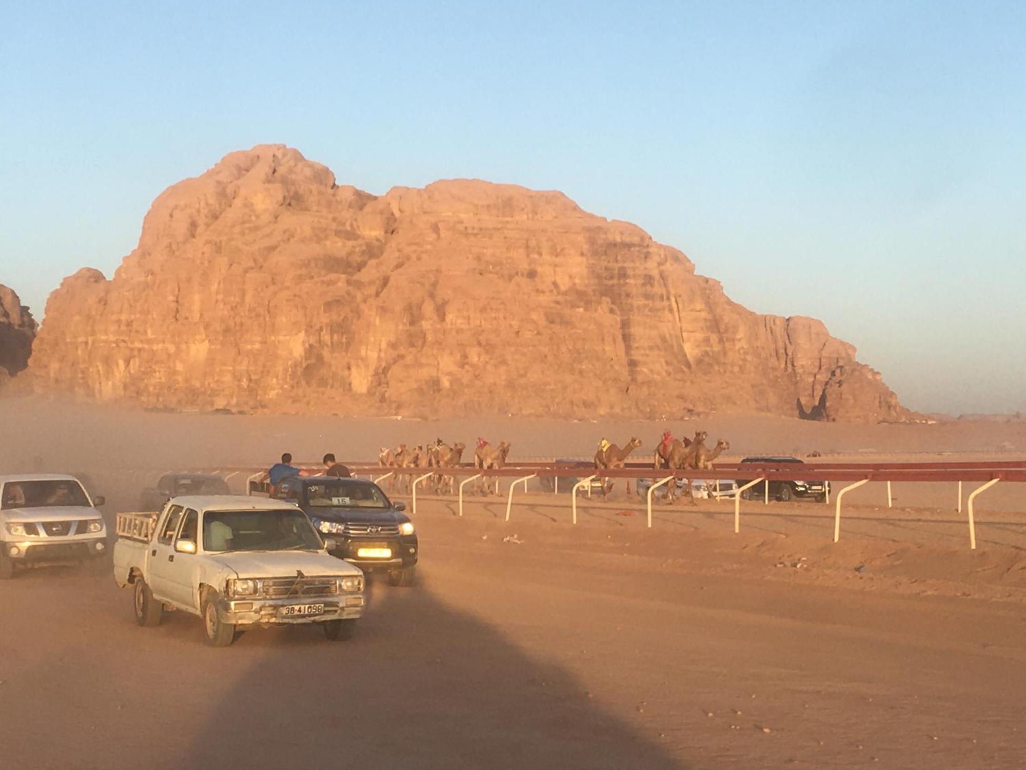 Wild Of Wadi Rum Exterior photo